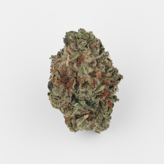 Cannamedical Sativa forte Duke