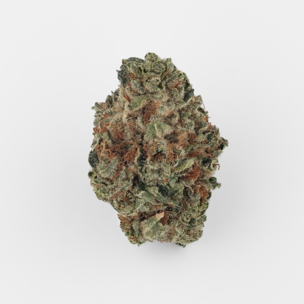 Cannamedical Sativa forte Duke