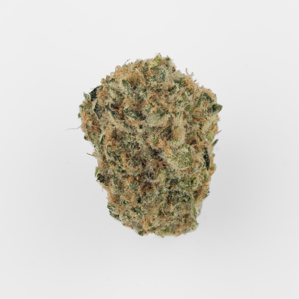 Cannamedical Sativa forte NM Candyland