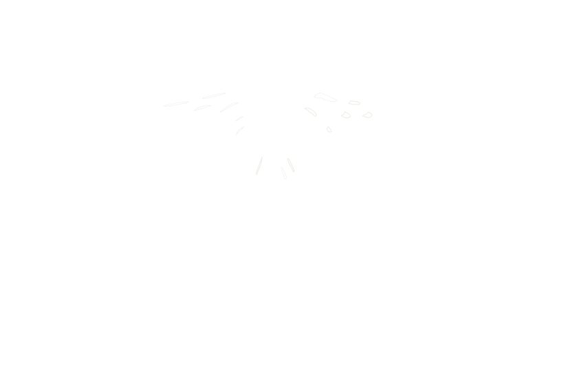 Spitalapotheke Nürnberg Logo